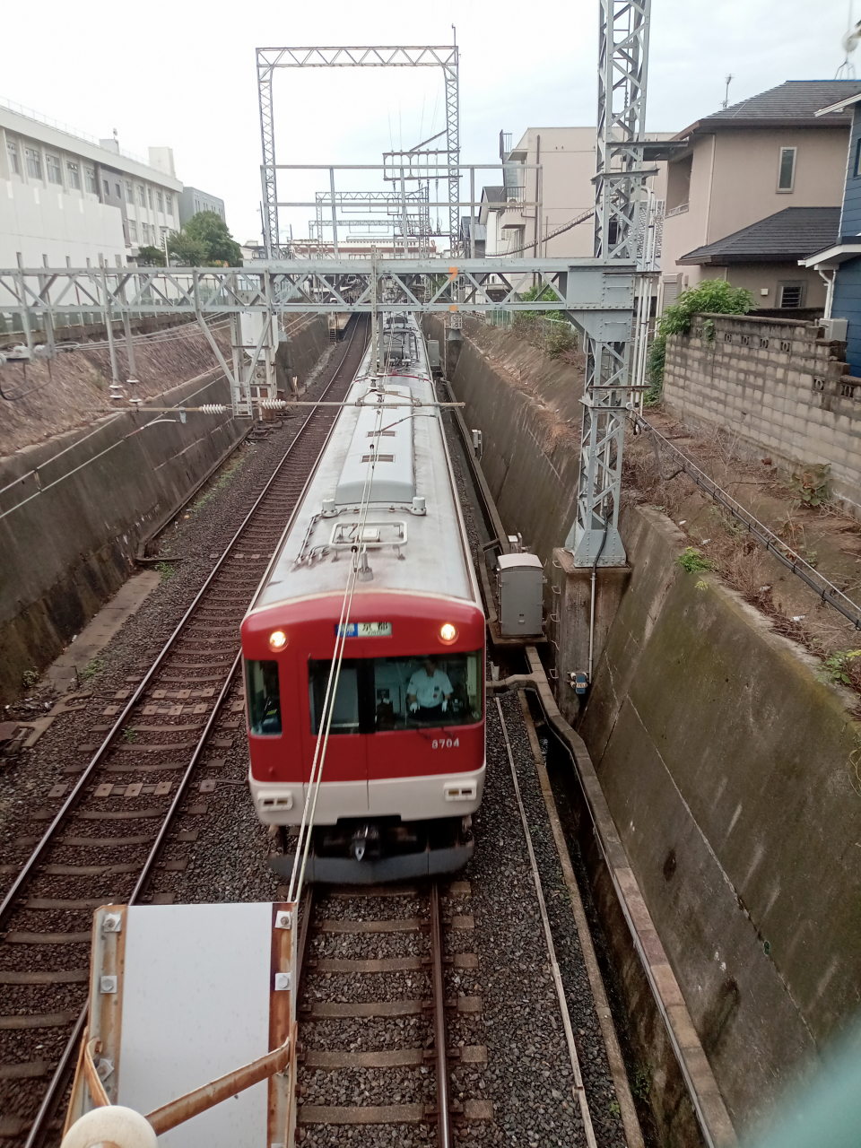 「早朝4時のごちそう便、焼売が運ぶ京の朝」

