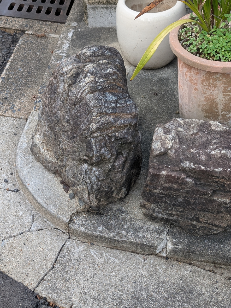 いけず石と点心の美学──京都の“控えめ”が守る味