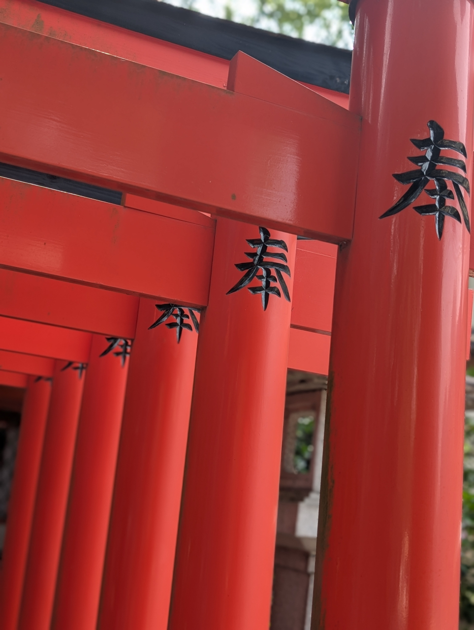 【白露】伏見稲荷裏参道と小滝めぐり｜シュウマイ奉行の案内記