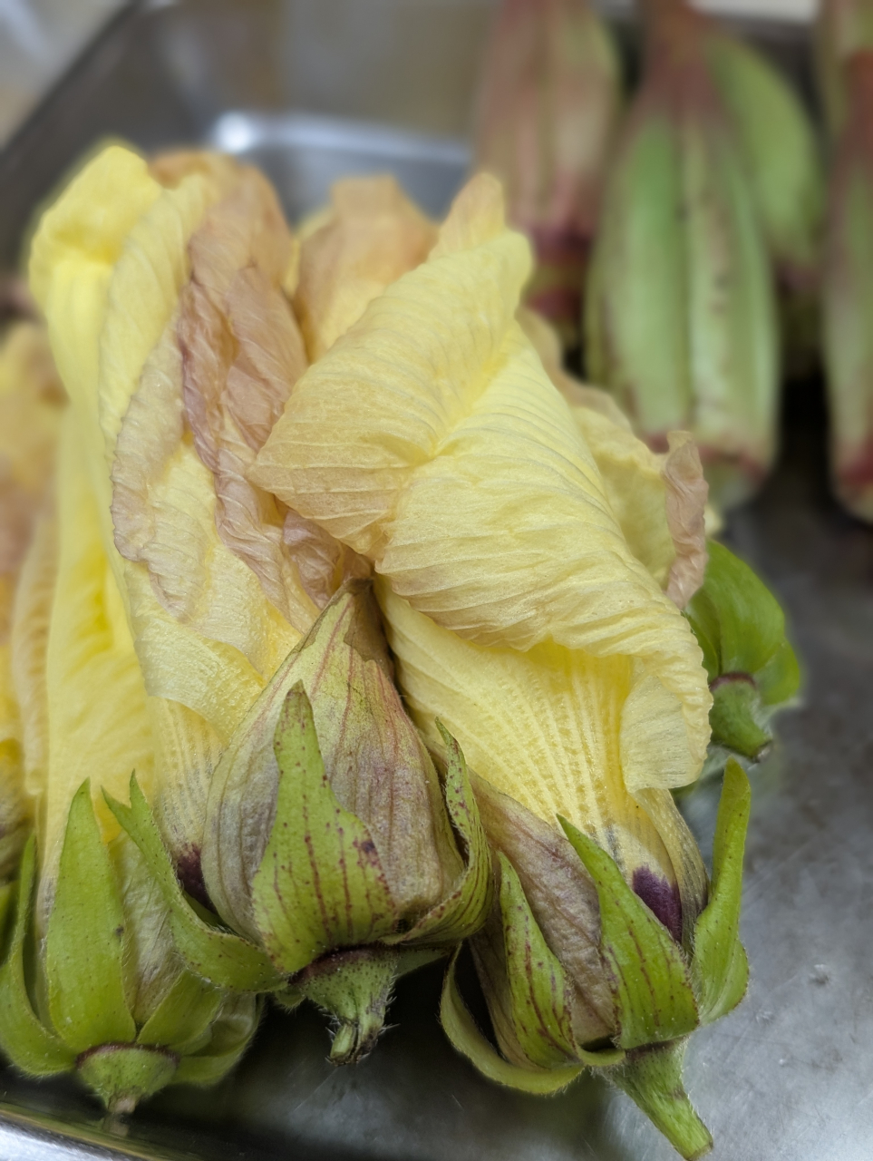 【奉行版】オクラの花と点心の夏献立｜京都点心福の焼売・餃子（簡単レシピ付き）
