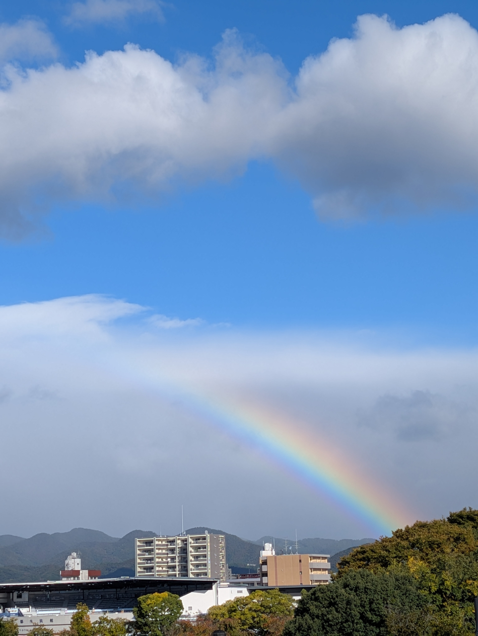 伏見の朝、虹かかりし方角に工房を想う｜シュウマイ奉行記