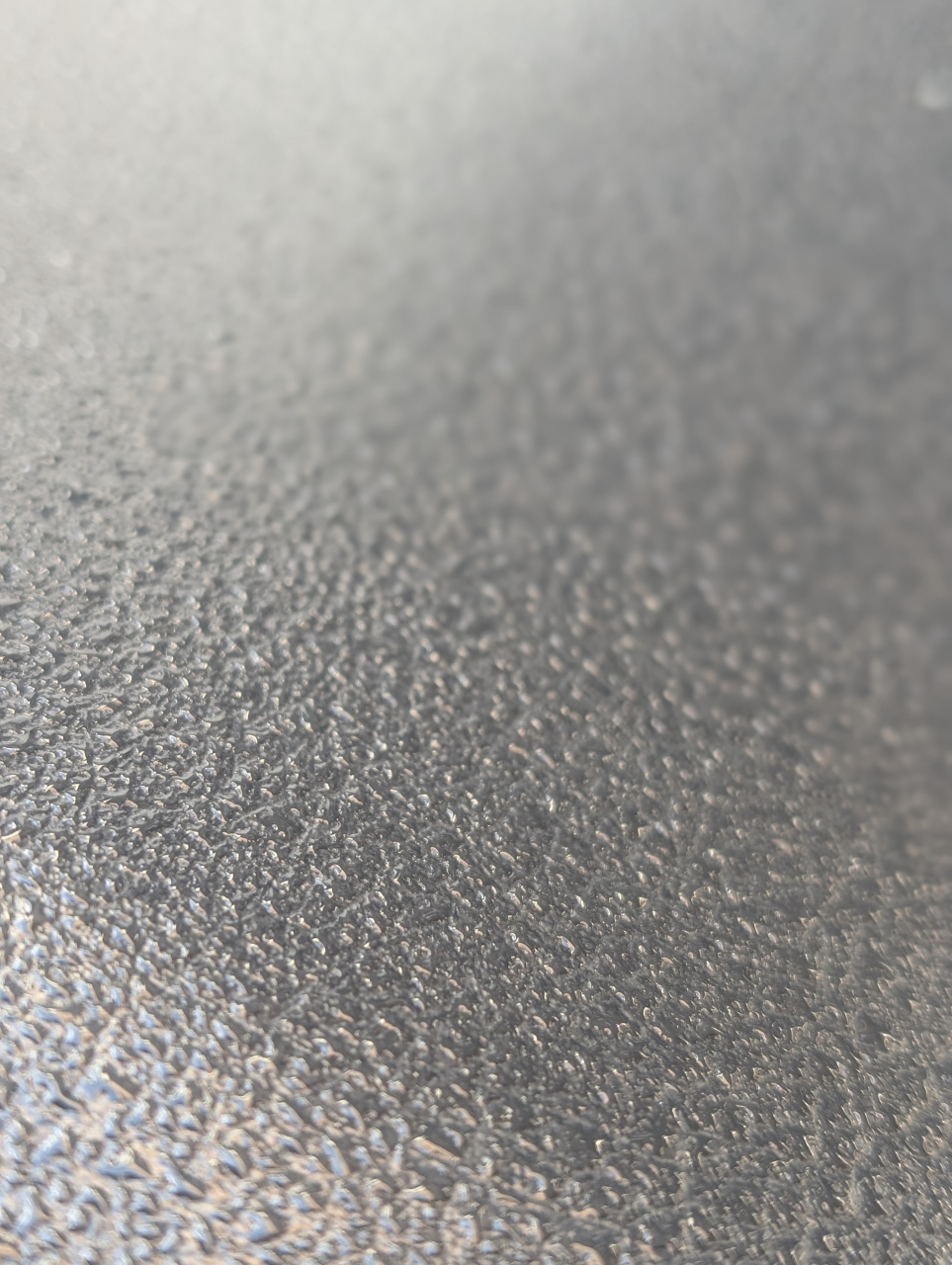 霜降から立冬へ｜湯気の理にて味わう京都点心福の焼売