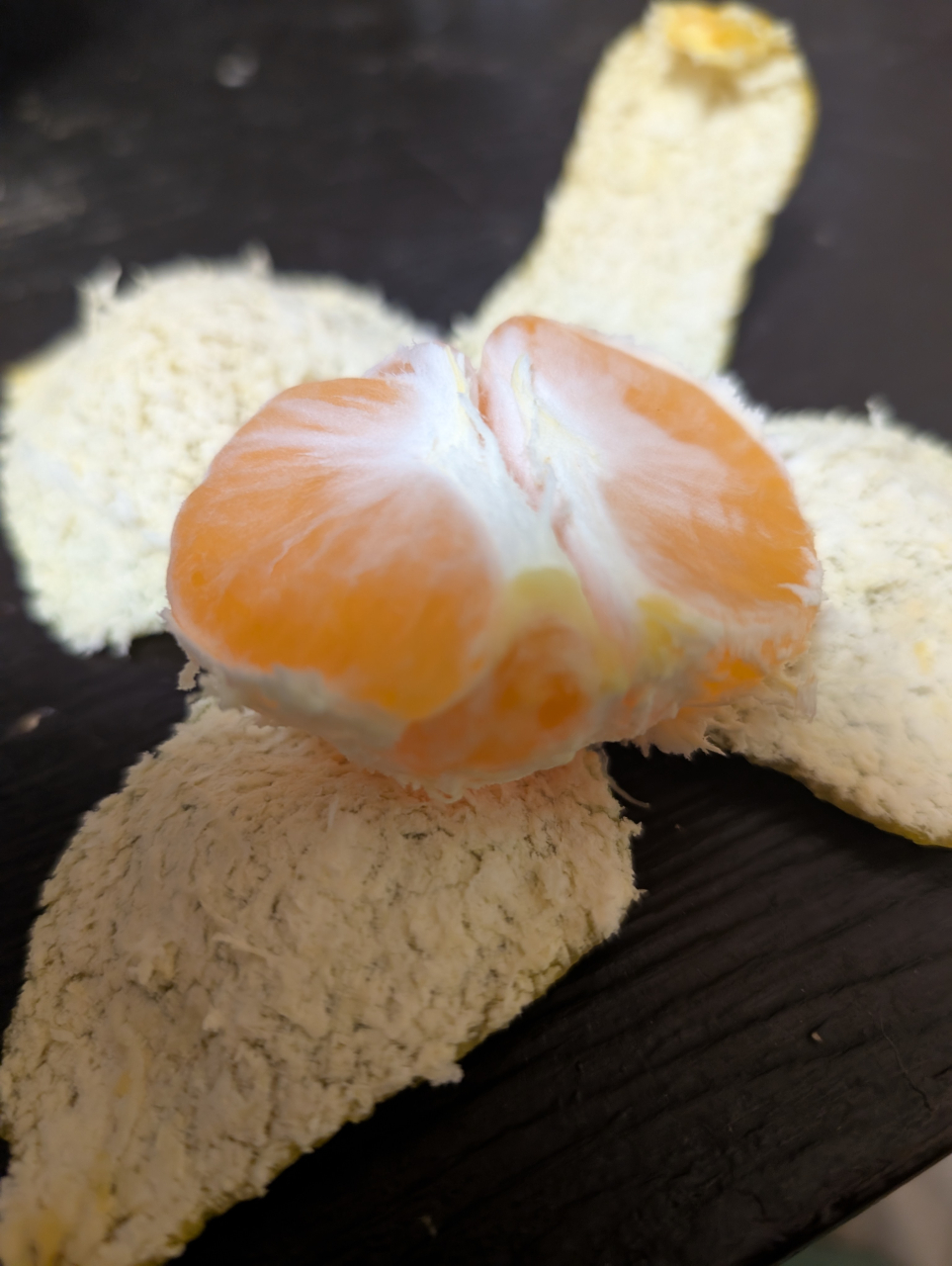 冬みかんで拵える陳皮の作り方と効能|鬼辛焼売の香りを陰で支える妙味【京都点心福】