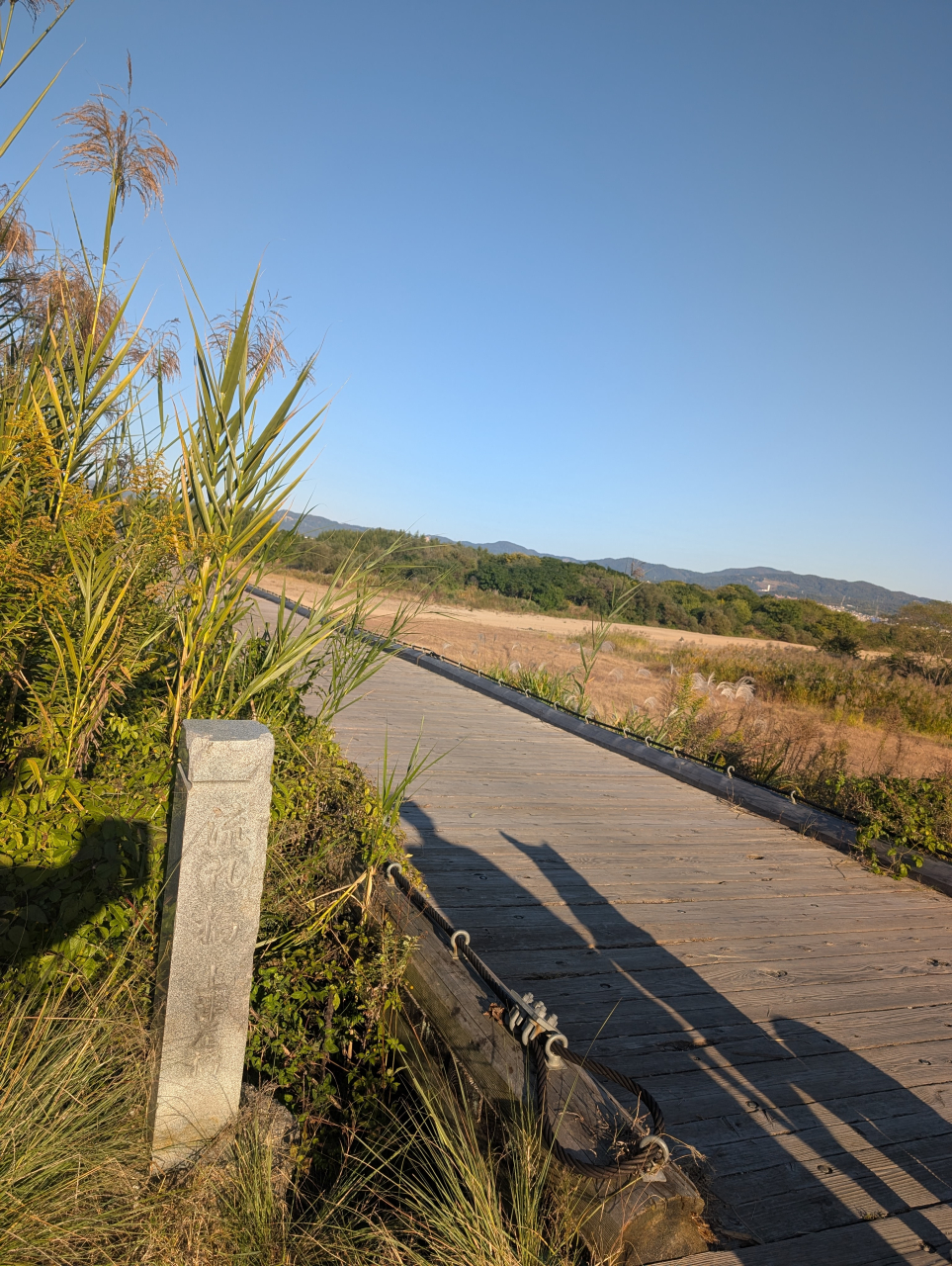 八幡・流れ橋にて――名奉行の面影、時を越えて