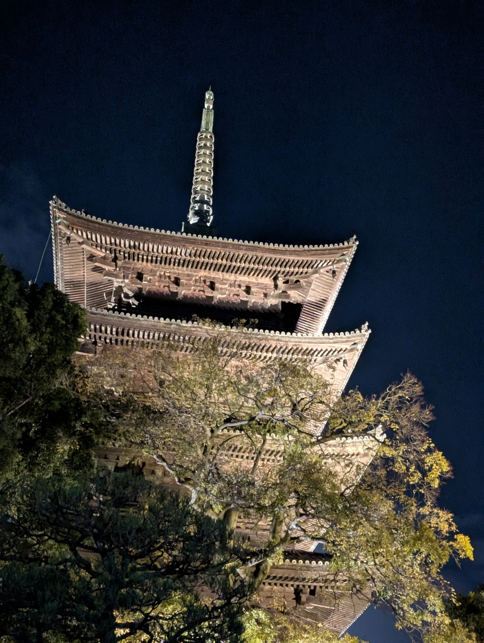 東寺ライトアップと冬の京｜シュウマイ奉行の夜歩き