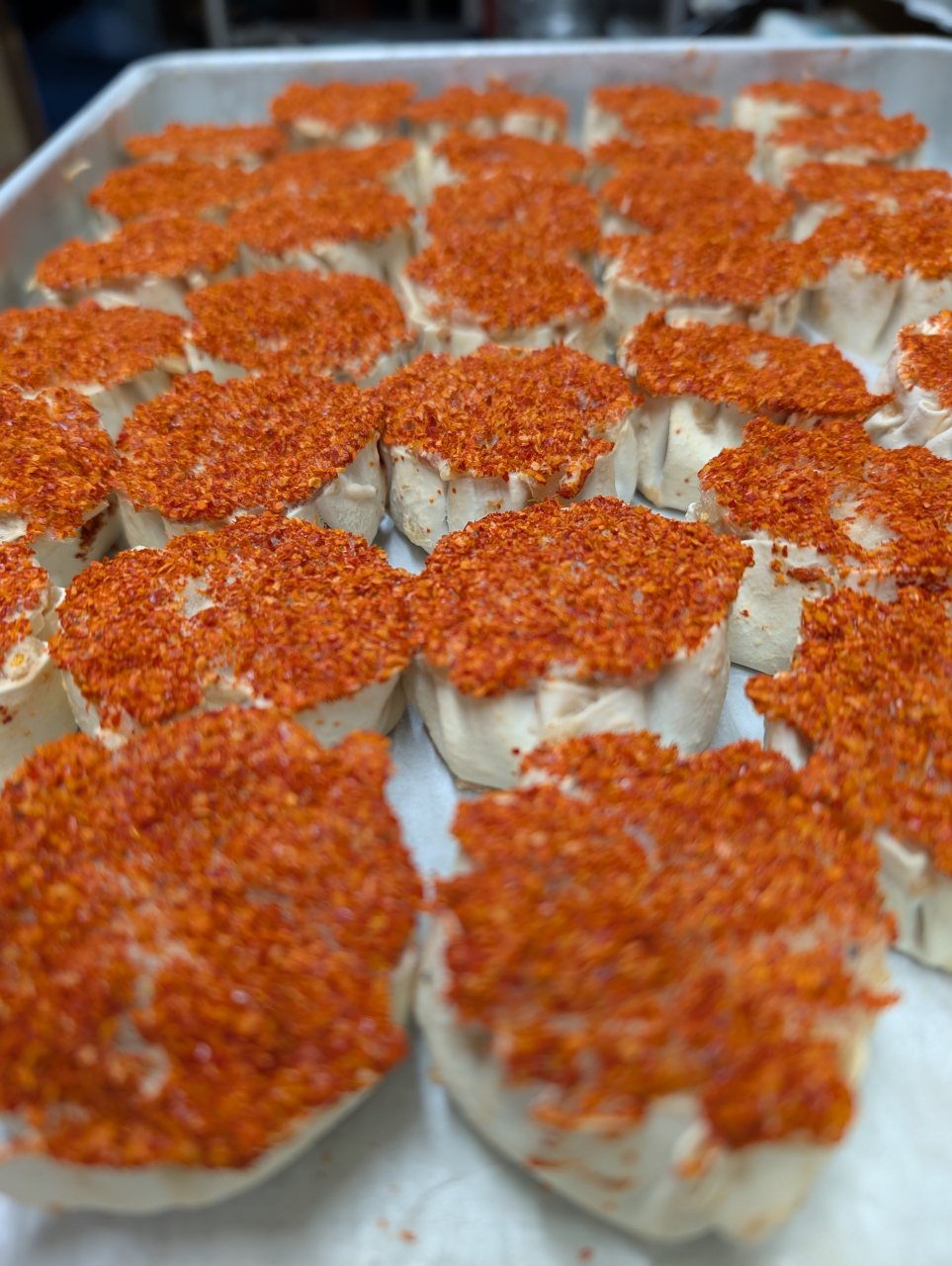 藤森神社と馬の神様｜五時の方角に宿る伏見の節分