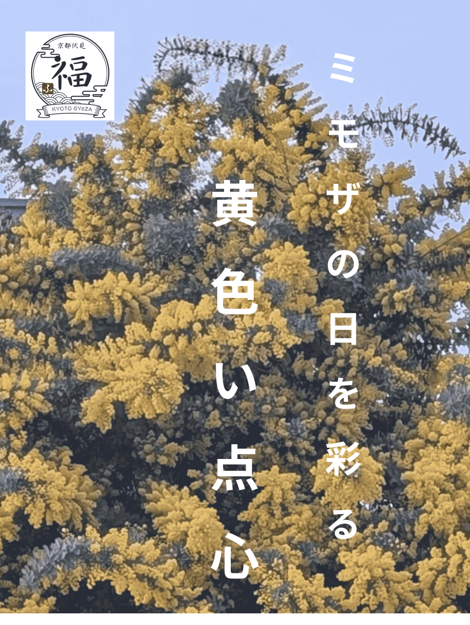 ミモザの日を彩る黄色い点心！京都点心福の「たまご春巻」が春のギフトに最適な理由