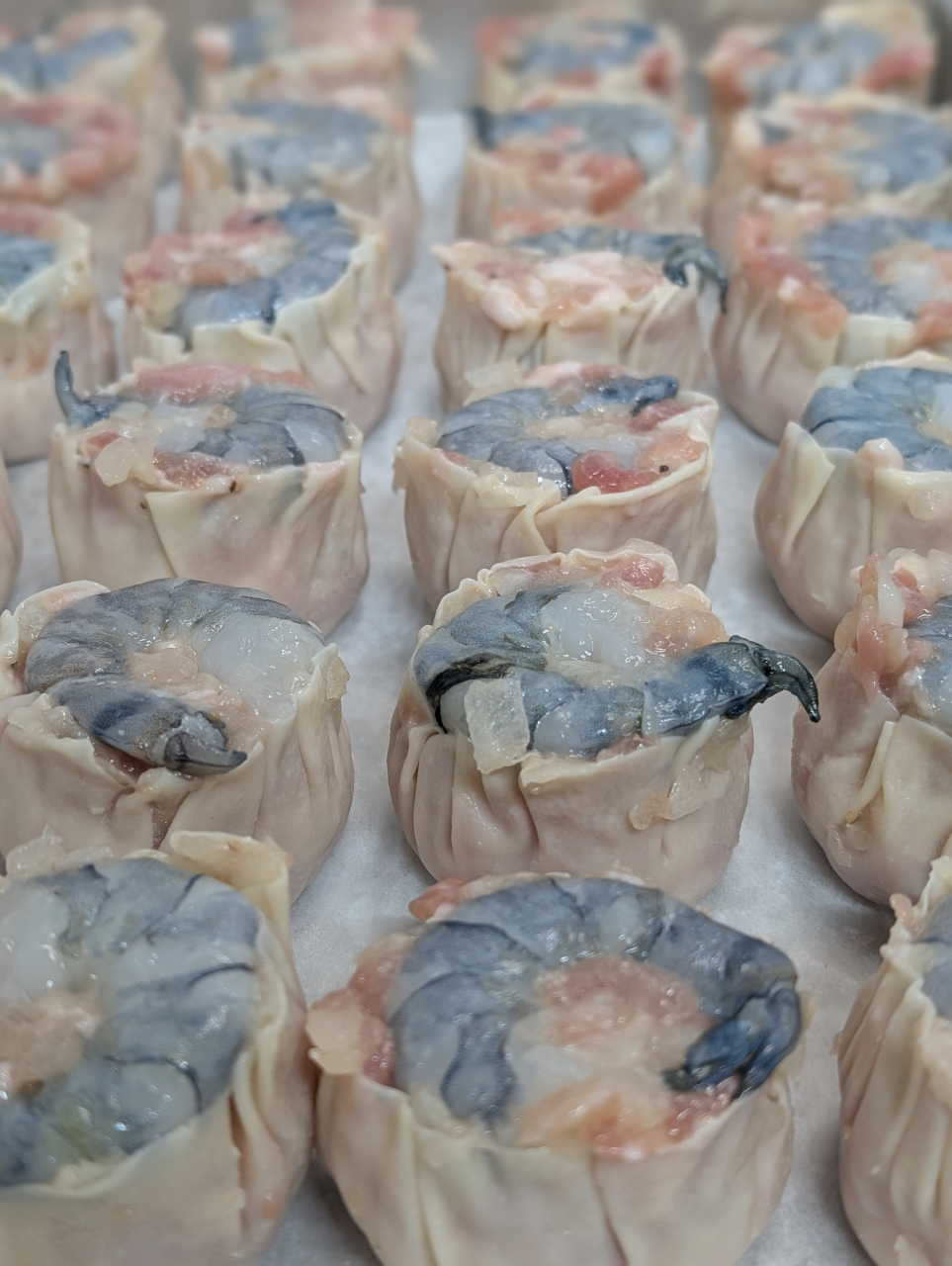 【奉行の独り言】「青い焼売」の正体を見たり。海老の色に隠された鮮度の秘密