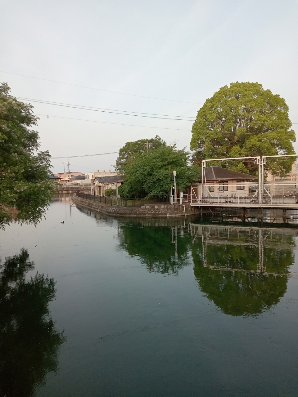 伏見を味わい、歴史に触れる――重要文化財と点心の饗宴